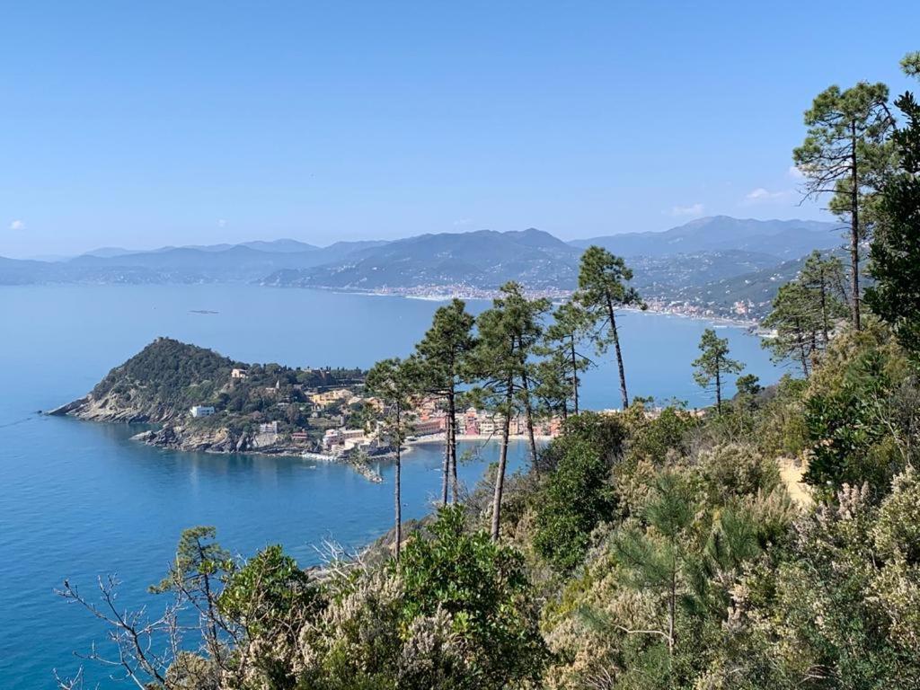 セストリ・レヴァンテ La Pergola Dei Paggiヴィラ エクステリア 写真