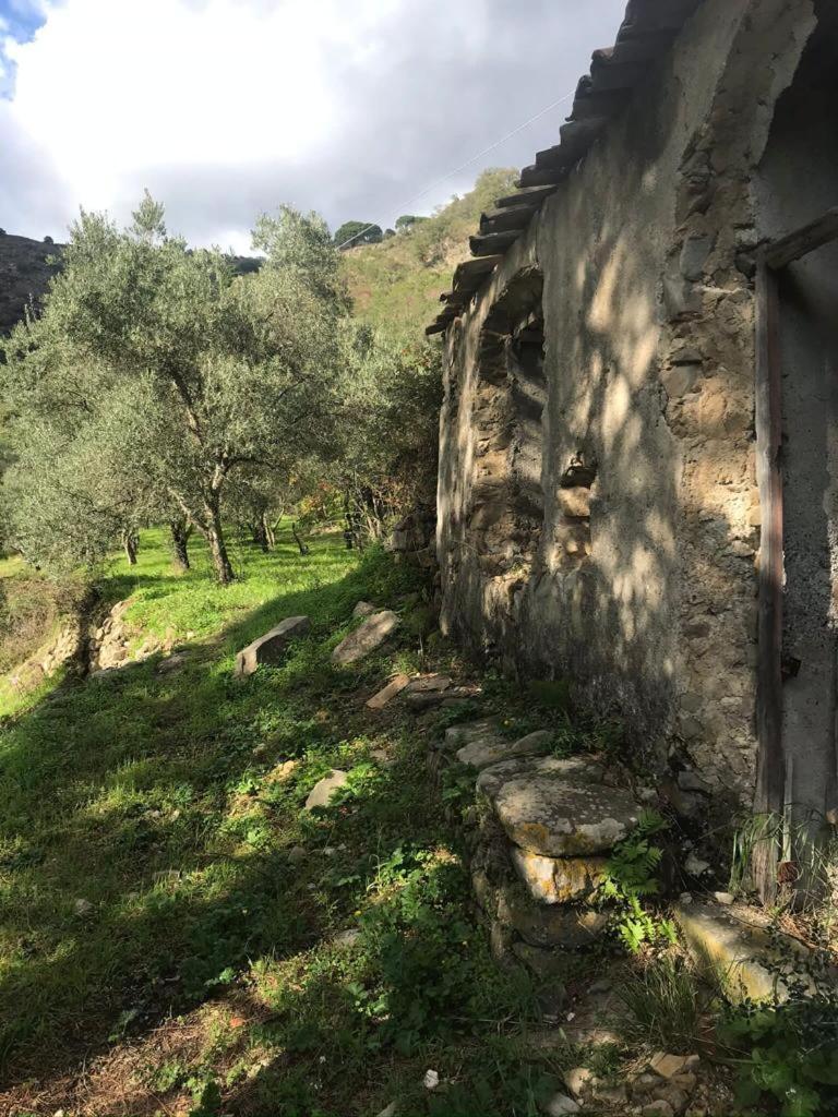 セストリ・レヴァンテ La Pergola Dei Paggiヴィラ エクステリア 写真